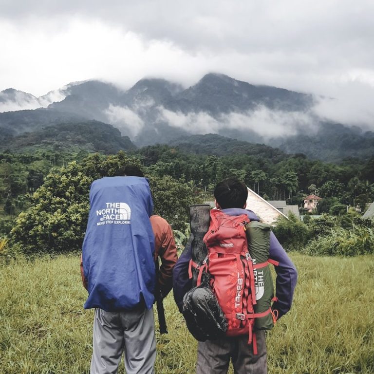 Two hikers with backpacks overlook a lush landscape and mountains under a cloudy sky.